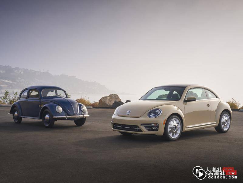 《欧拉庞克猫》长得太像《Beetle》｜《Volkswagen》不排除采取法律行动